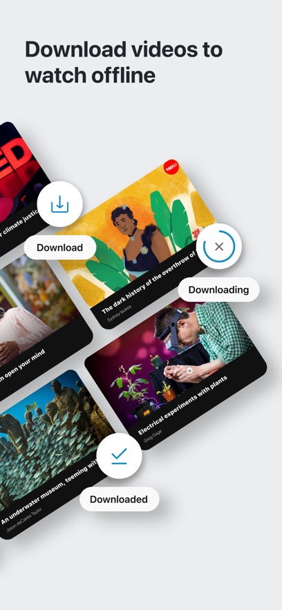 tedappٷv1.4.2 ֻ