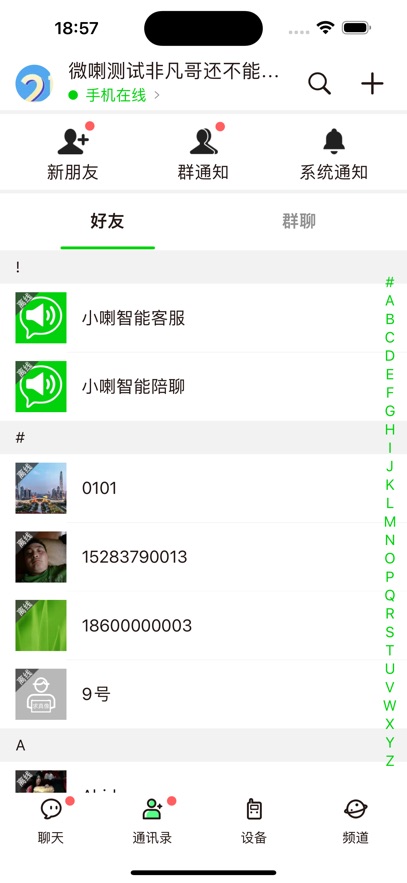 ΢ʵʱԽٷv4.2.0.1 °