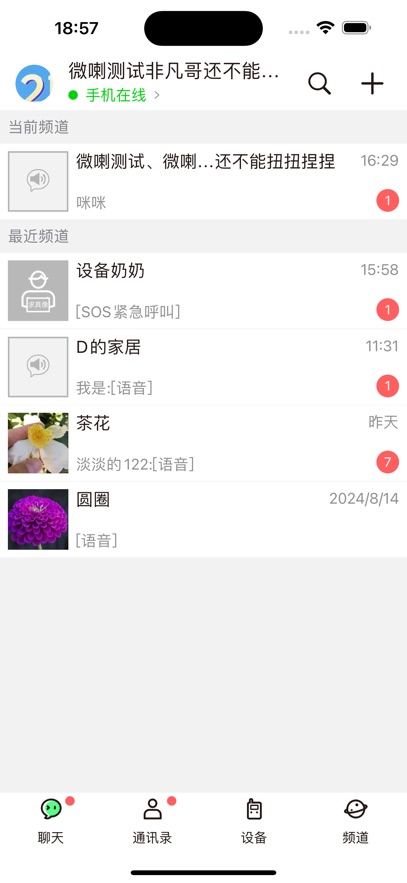΢ʵʱԽٷv4.2.0.1 °