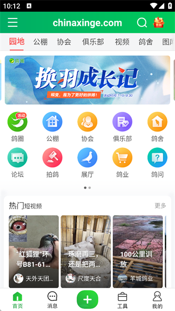 app