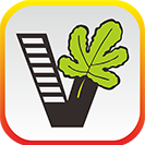 Ҫѧٷv1.11.0 °